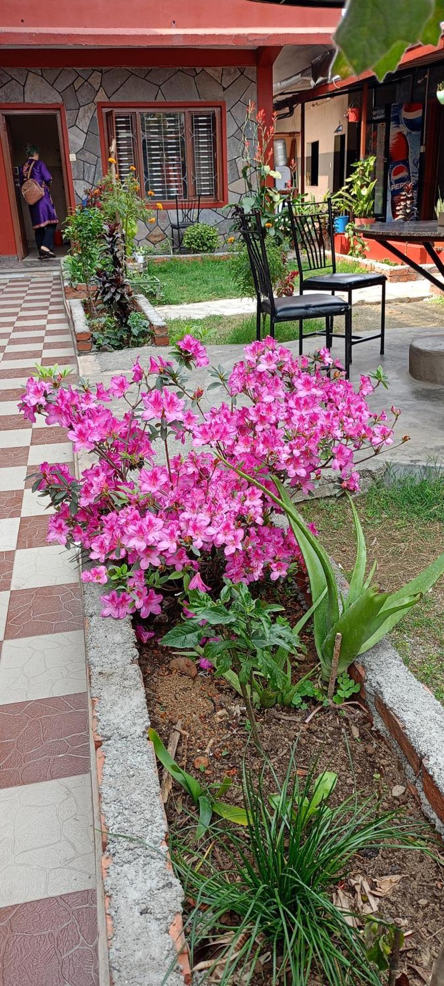 Pokhara Metro Eco Hotel Екстериор снимка